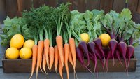 Fresh organic produce arranged in wooden box: vibrant lemons, orange carrots with green tops, and deep purple beets creating colorful healthy food composition.