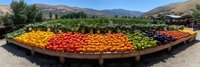 Fresh produce display with vibrant tomatoes, oranges and peppers arranged on rustic wooden farm stand against mountain landscape backdrop in rural countryside setting.