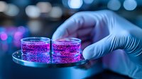 Laboratory technician in protective gloves holding petri dish with glowing purple bacterial culture samples against blurred scientific background with bokeh lights.