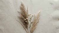 Dried pampas grass and small white wildflowers arranged on a textured beige paper background, neutral boho aesthetic for home decor.
