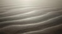 Smooth sand dunes with flowing ripples creating natural wave patterns in desert landscape for backgrounds and textures.