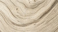 Organic wood grain texture with flowing wavy patterns and natural knots, suitable for backgrounds, flooring design, furniture mockups, and interior decoration projects.