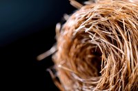 Close-up macro shot of dry golden straw or hay twisted in spiral shape against dark background, creating abstract natural texture and pattern.