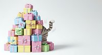 Tabby cat peeking from behind stacked colorful gift boxes arranged in pyramid shape on white background, isolated for design use.