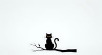 Black cat silhouette sitting on branch, isolated on white background. Suitable for Halloween designs, t-shirt prints, stickers, and graphic design projects.