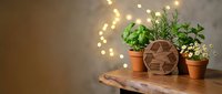 Fresh herbs growing in terracotta pots on wooden shelf with warm bokeh lights creating cozy kitchen garden atmosphere for culinary cooking and home decor.