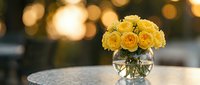 Fresh yellow roses arranged in clear glass vase on marble table with warm bokeh lights creating elegant home decor atmosphere for romantic occasions.