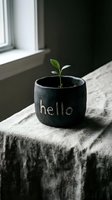 Small green seedling growing in a dark handmade ceramic pot with hello inscription, placed on linen cloth near window in soft natural light.