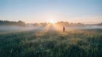Solitary figure standing in misty meadow at sunrise, surrounded by wildflowers and tall grass with golden sunlight breaking through fog. Peaceful morning landscape for nature, wellness, and contemplation themes.