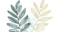 Delicate watercolor botanical leaves in soft green and beige tones, featuring compound leaf structure with parallel veins. Gentle nature illustration on white background.