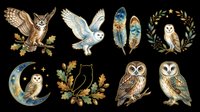 Watercolor owl clipart set with feathers, wreath, moon, and acorns, isolated on transparent background. Ready for stickers, t-shirt design, and print on demand.
