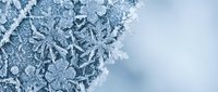 Intricate ice crystals and frost formations create stunning winter patterns against soft blue sky background for seasonal design projects.