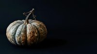 Aged pumpkin with weathered skin and dried stem isolated on dark background, suitable for autumn harvest and fall season design projects.