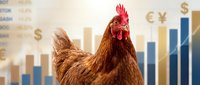 Red rooster with vibrant plumage stands before rising financial charts and currency symbols, representing business growth, market success, and economic prosperity.