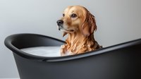 Wet Golden Retriever dog taking bath in modern black tub with soap suds, looking away with funny expression. For pet care and grooming concepts.