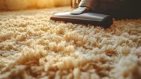Close-up view of vacuum cleaner head on beige shag carpet during home cleaning process, showing detailed carpet texture in warm sunlight through window.