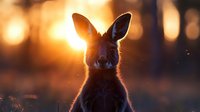Wild rabbit silhouette backlit by golden sunset light with warm bokeh background creating magical wildlife scene for nature photography and outdoor concepts.