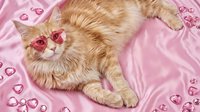 Adorable orange tabby kitten wearing pink heart-shaped sunglasses lying on soft pink satin fabric with scattered heart decorations for Valentine's Day.