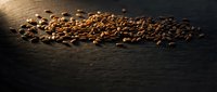 Roasted coffee beans scattered on dark wooden surface with warm lighting creating dramatic shadows and rich brown tones for cafe branding and beverage marketing.