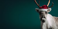 Festive reindeer with Santa hat and antlers on dark teal background, perfect for Christmas holiday designs and seasonal marketing campaigns.