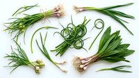 Fresh green onions and scallions arranged on white background, organic spring vegetables for cooking and culinary preparations in kitchen.