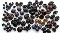 Dried prunes and raisins scattered on white background, isolated for food packaging, culinary design, nutrition education, and healthy snack marketing purposes.