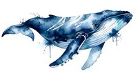 Watercolor humpback whale with blue tones and paint splatters on white background. Marine mammal artwork for ocean-themed designs and nautical decor.
