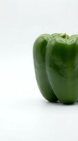 Fresh green bell peppers isolated on white background, suitable for food photography, cooking websites, recipe blogs, and healthy eating content.