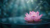 Pink lotus flower floating on calm water surface with soft sunlight rays filtering through creating peaceful zen meditation atmosphere for wellness and spirituality.