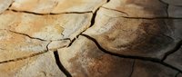 Cracked and parched earth surface showing deep fissures in dried mud, depicting drought, climate change, environmental degradation, and water scarcity conditions.