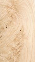 Light wood grain texture with natural knots and growth rings, suitable for flooring, furniture design, interior backgrounds, and woodworking projects.
