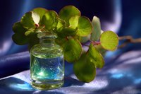 Small glass bottle with magical glowing liquid and fresh green succulent leaves on blue silk fabric background, creating mystical atmosphere.