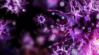 Purple coronavirus particles floating in microscopic environment with glowing effects for medical education and healthcare presentations.