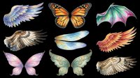 Watercolor wings collection featuring angel, fairy, butterfly, and bird wing designs isolated on transparent background. Ready for t-shirt designs, clipart, stickers, sublimation, and print-on-demand projects.