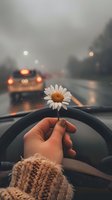 Hand holding white daisy flower on steering wheel during rainy drive with blurred traffic and wet road ahead, symbolizing hope and optimism while driving.