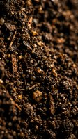 Rich, dark soil texture with golden mineral particles and organic matter in sharp focus, ideal for agriculture, gardening, environmental, and nature-related projects.