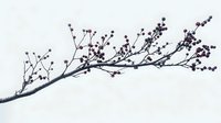 Minimalist branch with small purple berries against light background, creating elegant botanical silhouette composition for wall art and nature-inspired design.