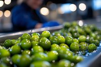 Fresh green limes with water droplets on dark surface, selective focus with blurred bokeh lights in background, macro food photography.