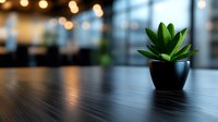Small green succulent plant in black ceramic pot on wooden table with blurred bokeh lights and office interior background. Modern minimalist workspace decor.