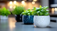 Fresh basil plants growing in decorative ceramic pots with geometric patterns, arranged on counter with soft bokeh lights in background, modern kitchen decor.