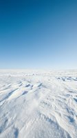 Vast snowy landscape with wind-sculpted drifts under clear blue sky, depicting frozen terrain suitable for winter, climate, and nature concepts.