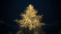 Illuminated Christmas tree with golden lights against dark night sky creating festive holiday atmosphere for seasonal celebrations and winter decorations.