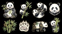Watercolor panda clipart set with cute pandas, bamboo, paw print, and golden ornamental bear, isolated on transparent background, ready for stickers, t-shirt design, and print on demand.