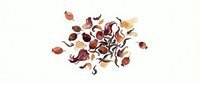 Dried red cabbage pieces and leafy vegetable scraps scattered on white background, isolated for culinary design, cooking content, and food waste reduction concepts.