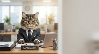 Business cat manager in suit sitting at office desk with laptop and nameplate for corporate humor and workplace concepts.