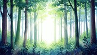 Mystical forest pathway with bright sunlight streaming through tall trees and lush green foliage creating magical atmosphere for nature backgrounds.