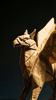Dried autumn leaves with dramatic lighting against dark background showcasing natural textures and warm golden tones for seasonal design projects.