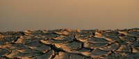 Cracked dry earth surface with polygonal mud patterns under warm atmospheric lighting creating dramatic desert landscape texture for environmental concepts.