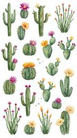 Watercolor cactus and succulent collection with blooming flowers isolated on white background for desert botanical design projects and decorations.