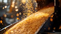 Golden grain falling on conveyor belt with sparkling bokeh lights in background, dramatic industrial agriculture scene showing wheat processing in motion.